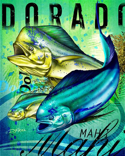 3 Dorado Mahi Digital Art By Dennis Friel Fine Art America