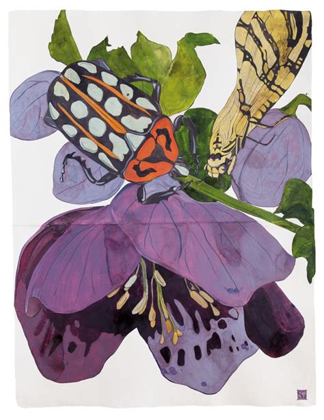 Sarah Graham Selected Works Art Painting Botanical Painting