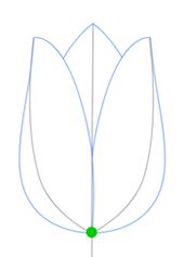 In this drawing lesson, we'll show how to draw a tulip flowerstep by step total 5 phase here we create a tulip flower it will be easy tutorial. Tulip Drawing Cartooning Lesson