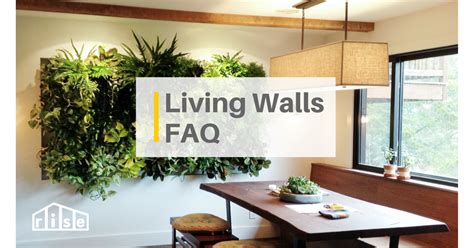 Living Walls At Home The Complete Guide