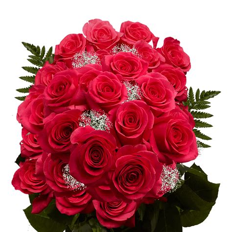 Two Dozen Hot Pink Roses Beautiful Fresh Cut Flowers Express Delivery