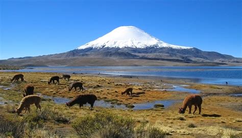 Rutero Descubre Los Parques Nacionales Más Visitados De Chile