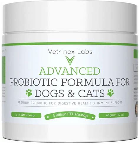 7 Best Probiotic For Yeast Infections In Dogs K9 Rocks