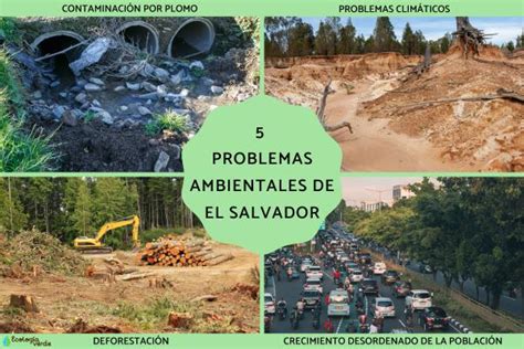 Problemas Ambientales De El Salvador Causas Y Consecuencias