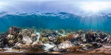 Virtual Dive Into Florida Keys National Marine Sanctuary Office Of