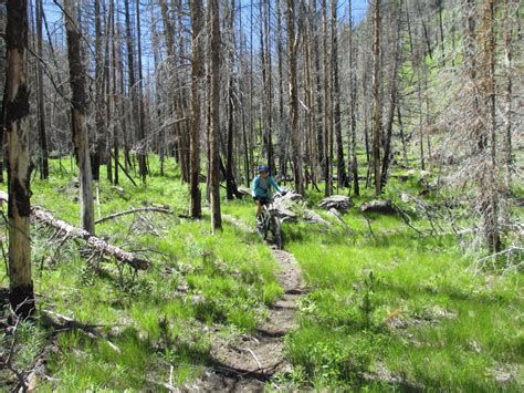 Alder Van Horn Loop Mountain Bike Trail In Challis Idaho Directions