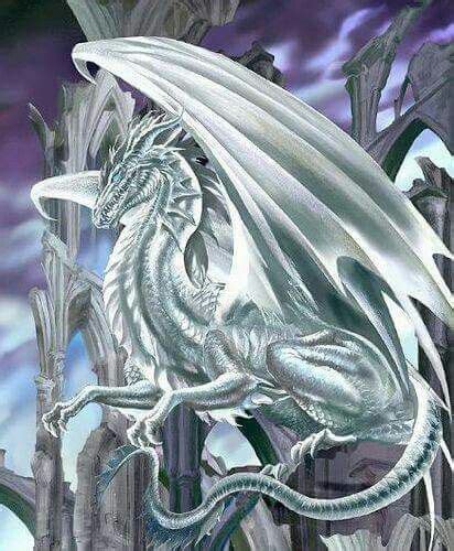 White Dragon Fantasy Dragon Elemental Dragons White Dragon