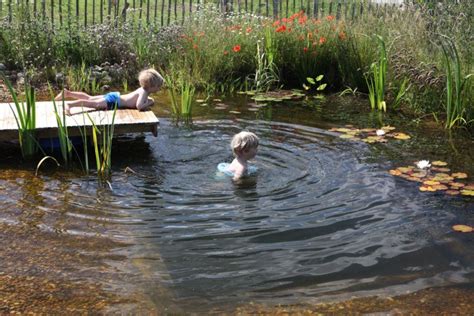 The Most Natural Organic Pool You Can Build Yourself Natural Swimming