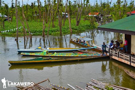 Agusan Marsh Wildlife Sanctuary One Humbling Experience