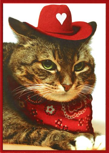 Cat With Cowboy Hat And Bandana Funny Valentines Day Card