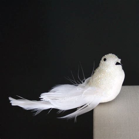 White Feather Birds Bird Feathers Birds Bird Decor