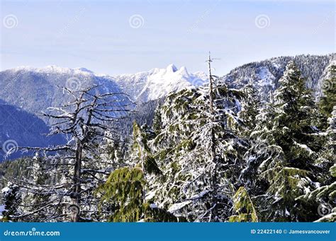 Crown Mountain Winter View With Beautiful Trees In Stock Photo Image