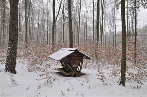 Feed Box In Winterly Forest Photograph By Matthias Hauser Pixels