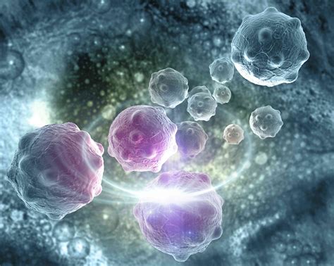Células Cancerosas Cómo Comienzan Y Características Medicina Básica