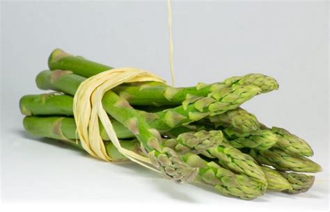 Although it is considered to be native to the mediterranean countries, asparagus is currently cultivated in most regions of the world. Can Dogs Eat Asparagus? Is Asparagus Good Or Bad For Dogs?