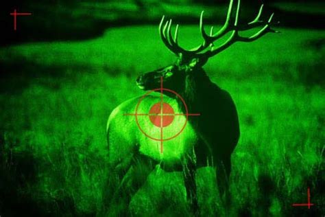 Best Night Vision Scope For Hunting In 2021 Complete Guide