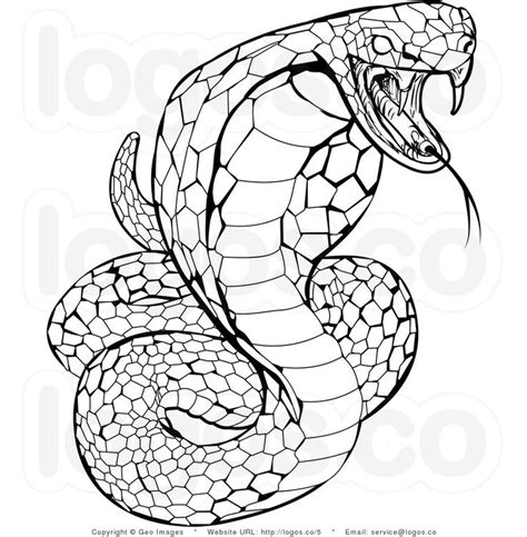 800x1281 amazing design snake coloring pages printable realistic for adults 1004x1024 highest snake coloring sheets realistic pages snakes science life reptiles snakes drawing | Snake coloring pages, Snake ...