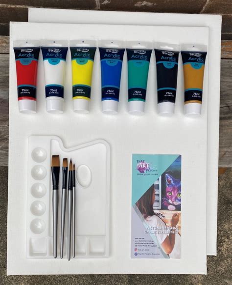 Adult Paint Kit That Art Place