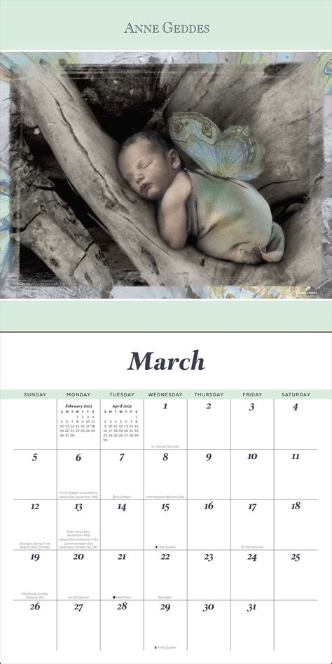 Anne Geddes 2023 Wall Calendar Book Summary And Video Official