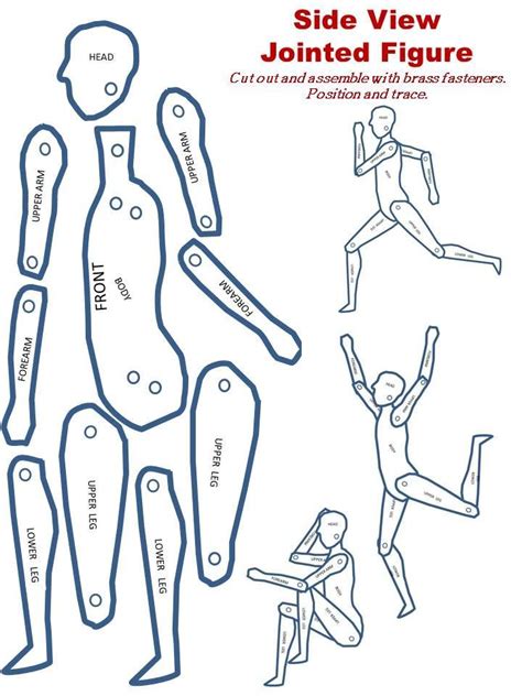 Free Printable Jointed Figure For Tracing Teaching Children To Pose And