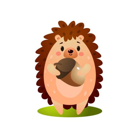 Cute Of Hedgehogs Cartoon Illustrations Royalty Free Vector Graphics