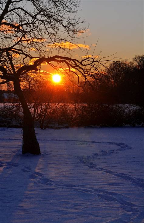 Sunrise In Winter Sky Photography Beautiful Landscapes Beautiful Moon
