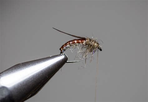 How To Tie A Caddis Nymph Step By Step With Video Into Fly Fishing