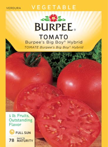 Burpee Big Boy Hybrid Tomato Seeds 1 Count Kroger