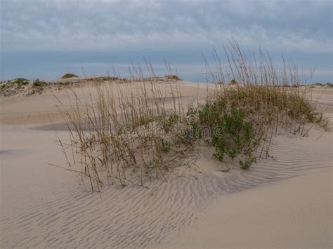 Do you like this video? Dünen Auf Der Nordsee Fahren Auf Die Insel Amrum Die Küste ...