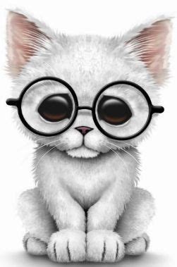 Select from premium kids draw cat of the highest quality. White Kitten in Glasses | Cat art, Cute animals, Cute baby ...