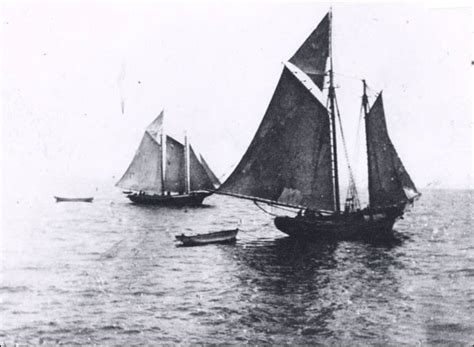 19th Century Cod Fisheries