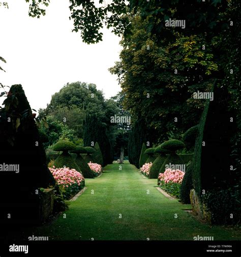 Grass Mown Path Through Formal Beds In Large Country Garden Stock Photo