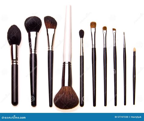 Sistema De Cepillos Profesionales Esenciales Del Maquillaje Foto De