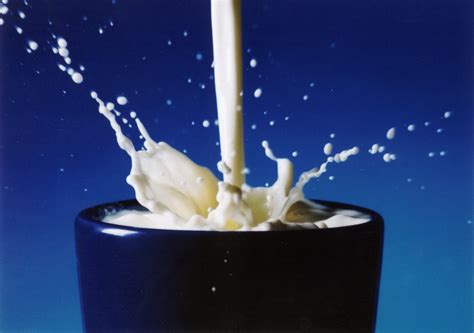 Spilled Milk Free Photo Download Freeimages