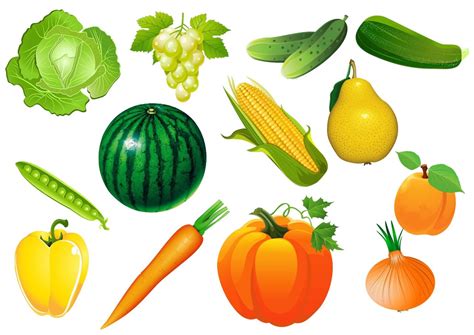 Dibujos Frutas Hortalizas Y Verduras Web Del Maestro