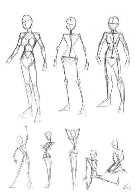 Women Human Body Drawing Female Anatomy Drawing Free Download On