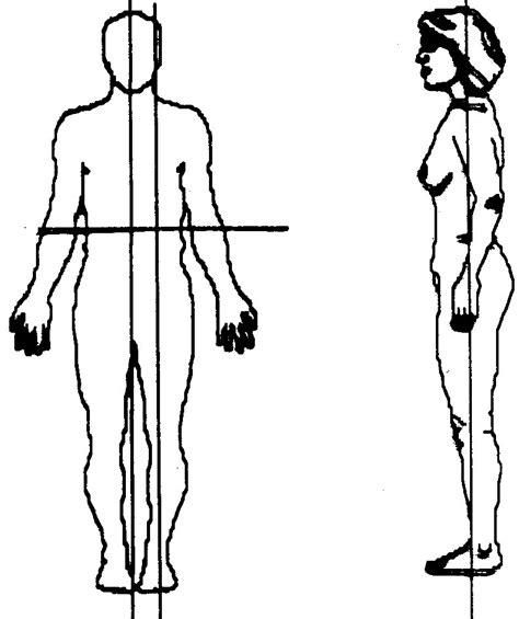 Blank Printable Anatomical Position