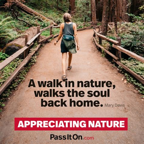 Explore The Value Of Appreciating Nature With Related Quotes Stories