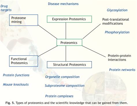Proteomics And Types Of Proteomics