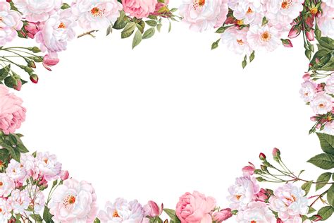 PVcirtual: Transparent Background Pink Flower Border Png