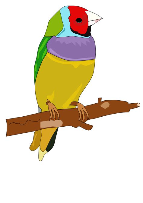 Onlinelabels Clip Art Bird