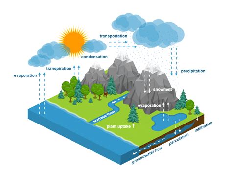 Schematic Diagram Of Water Cycle