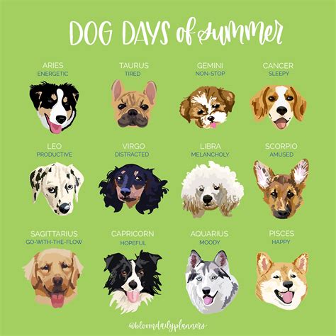 Dog Days Of Summer Happy National Dog Day Dog Signs Dogs