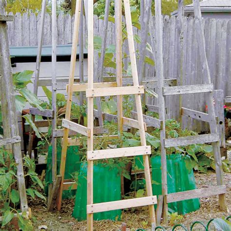 Diy Tomato Cage Ideas Oak Tomato Cage Sturdy Elegant Easy Assembly