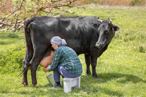 Premium Photo Woman Milking The Cow