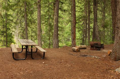 Forest Picnic Area Stock Photo Image Of Nature Field