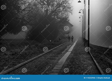 Mystical Walk Path With Fog Silhouette Of Trees And Man Misty W Stock
