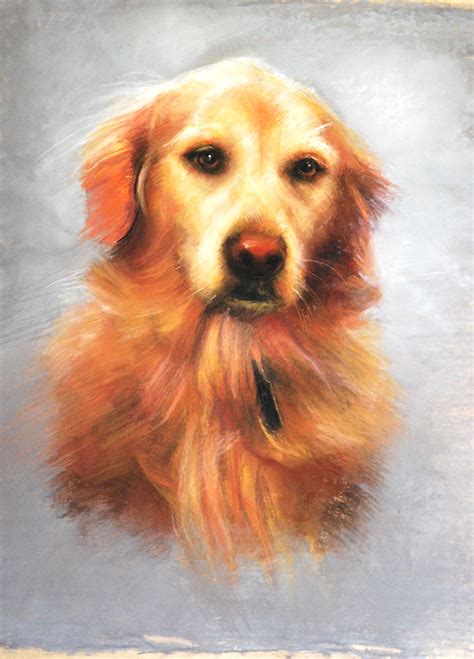 Fine Art Commissioned Portrait Of Golden Retriever Executed In Pastel