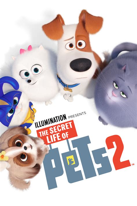 The Secret Life Of Pets 2 Cox On Demand