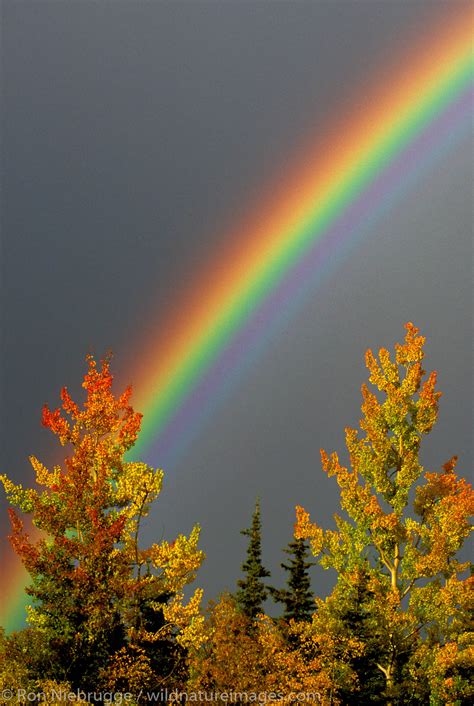 Fall Rainbow Alaska Photos By Ron Niebrugge